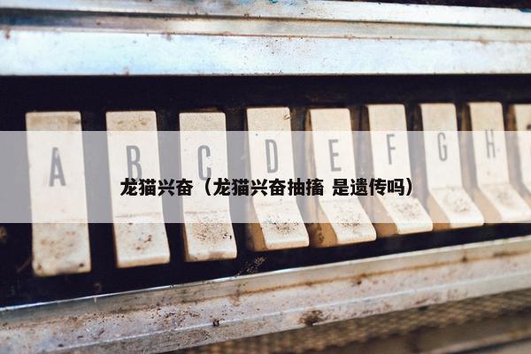 龙猫兴奋（龙猫兴奋抽搐 是遗传吗）
