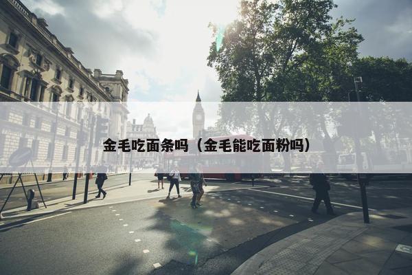 金毛吃面条吗（金毛能吃面粉吗）