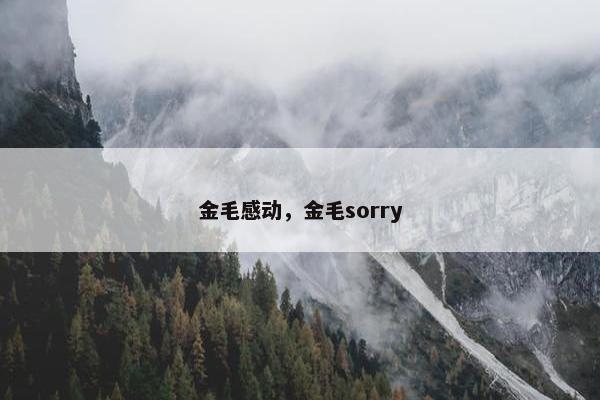金毛感动，金毛sorry