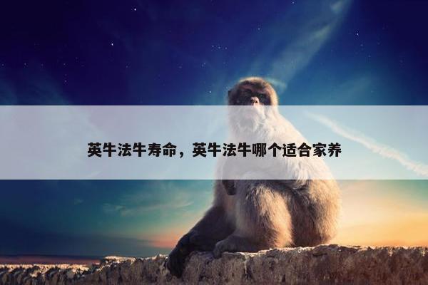 英牛法牛寿命，英牛法牛哪个适合家养