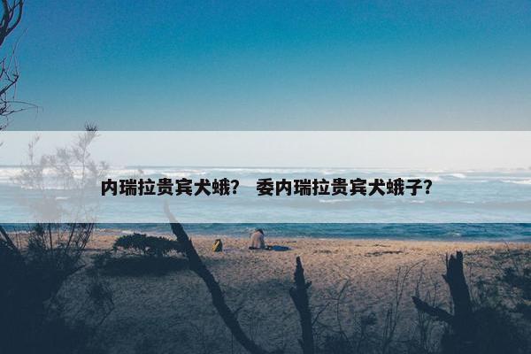内瑞拉贵宾犬蛾？ 委内瑞拉贵宾犬蛾子？