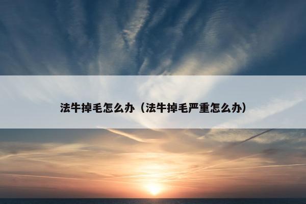 法牛掉毛怎么办（法牛掉毛严重怎么办）