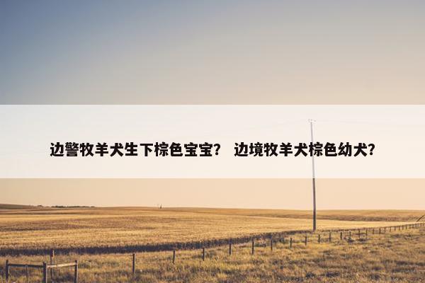 边警牧羊犬生下棕色宝宝？ 边境牧羊犬棕色幼犬？
