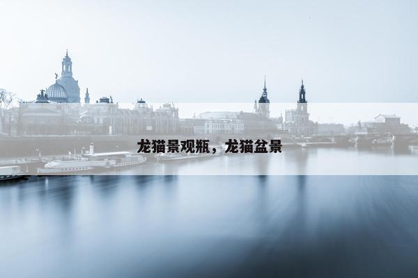 龙猫景观瓶，龙猫盆景