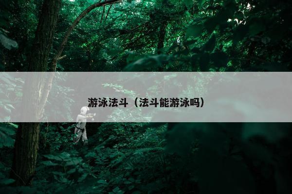 游泳法斗（法斗能游泳吗）