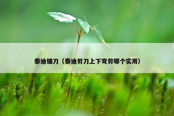 泰迪镰刀（泰迪剪刀上下弯剪哪个实用）