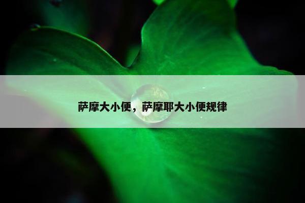 萨摩大小便，萨摩耶大小便规律