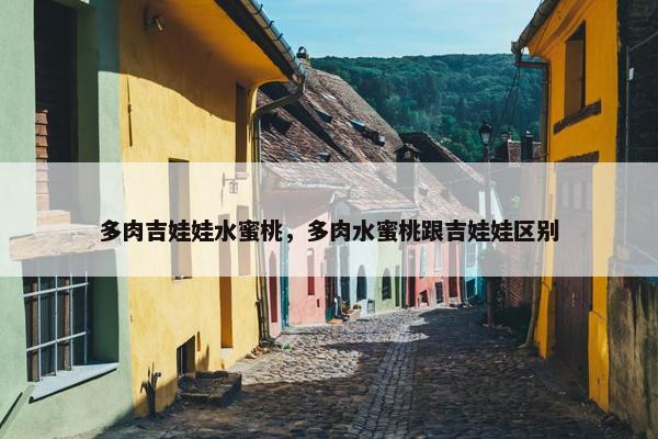多肉吉娃娃水蜜桃，多肉水蜜桃跟吉娃娃区别