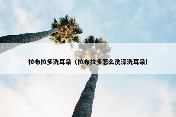拉布拉多洗耳朵（拉布拉多怎么洗澡洗耳朵）