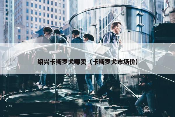 绍兴卡斯罗犬哪卖（卡斯罗犬市场价）