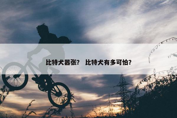 比特犬嚣张？ 比特犬有多可怕？