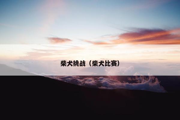 柴犬挑战（柴犬比赛）