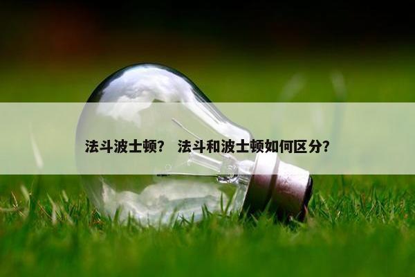 法斗波士顿？ 法斗和波士顿如何区分？