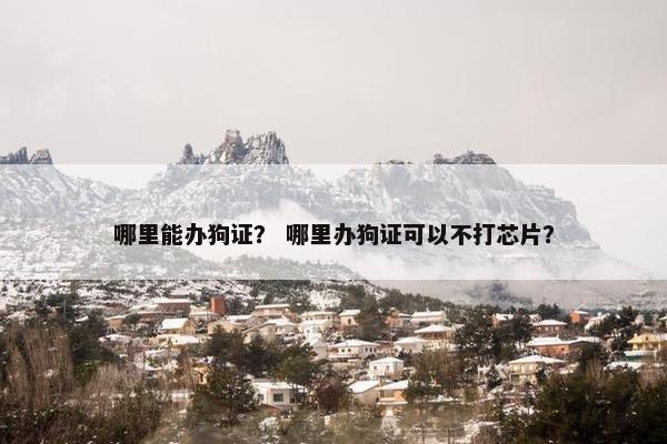 哪里能办狗证？ 哪里办狗证可以不打芯片？