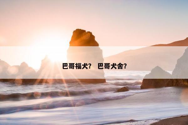 巴哥福犬？ 巴哥犬舍？