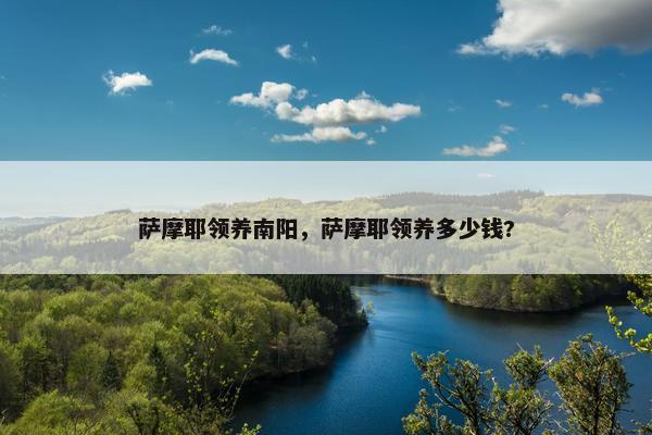 萨摩耶领养南阳，萨摩耶领养多少钱?