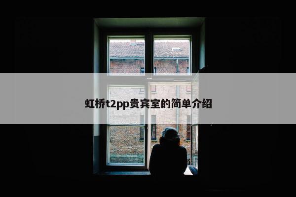 虹桥t2pp贵宾室的简单介绍