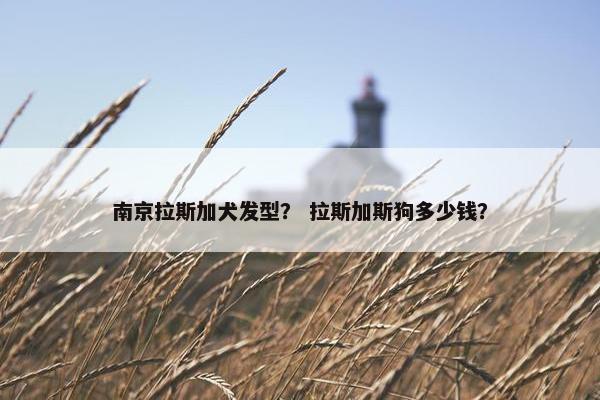 南京拉斯加犬发型？ 拉斯加斯狗多少钱？