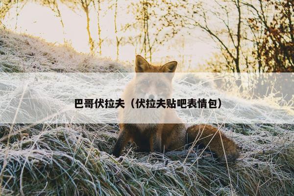 巴哥伏拉夫（伏拉夫贴吧表情包）