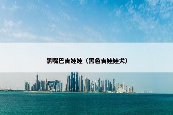 黑嘴巴吉娃娃（黑色吉娃娃犬）