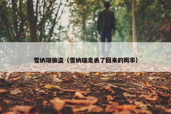 雪纳瑞偷盗（雪纳瑞走丢了回来的概率）