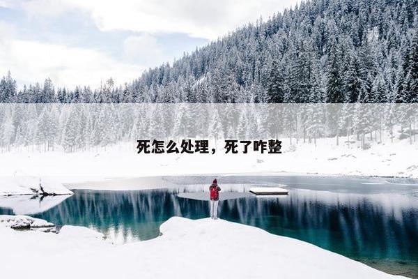 死怎么处理，死了咋整