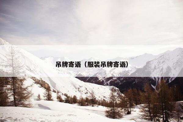 吊牌寄语（服装吊牌寄语）