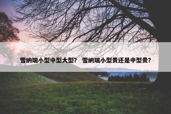 雪纳瑞小型中型大型？ 雪纳瑞小型贵还是中型贵？