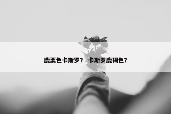 鹿栗色卡斯罗？ 卡斯罗鹿褐色？