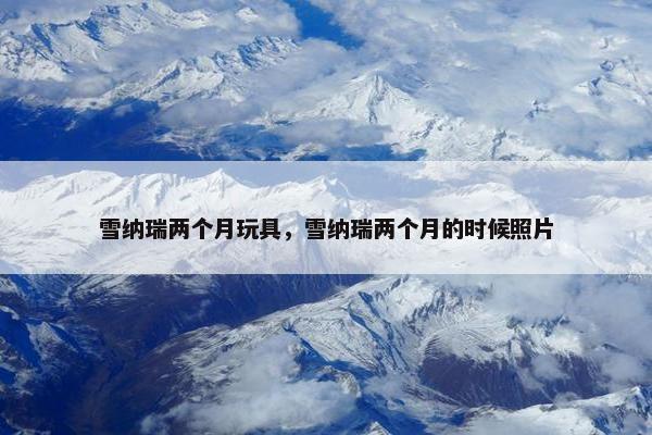 雪纳瑞两个月玩具，雪纳瑞两个月的时候照片