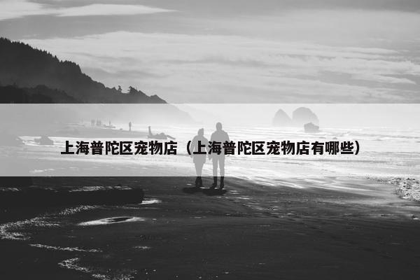 上海普陀区宠物店（上海普陀区宠物店有哪些）