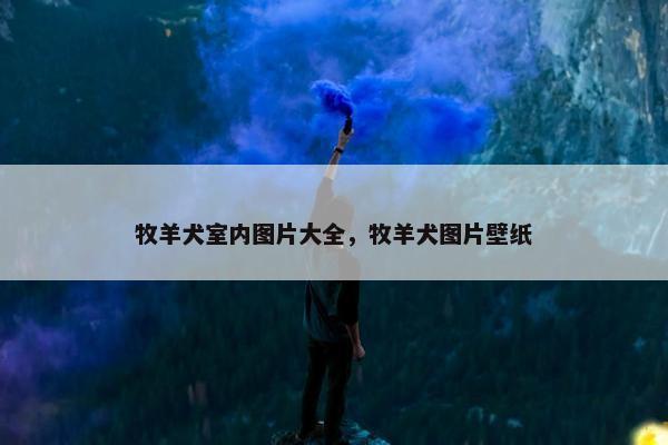 牧羊犬室内图片大全，牧羊犬图片壁纸