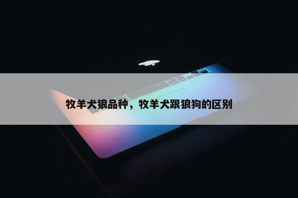 牧羊犬狼品种，牧羊犬跟狼狗的区别