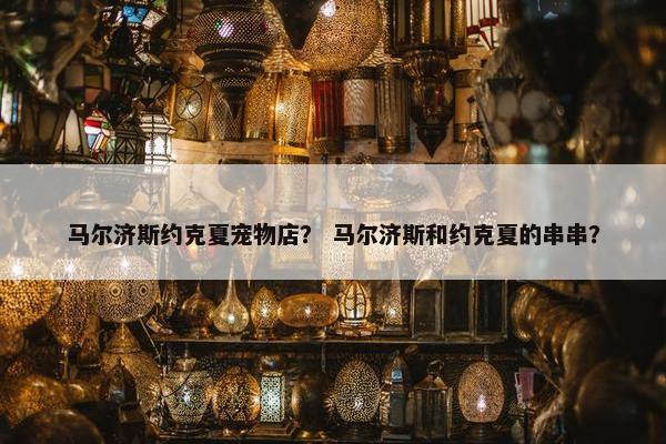 马尔济斯约克夏宠物店？ 马尔济斯和约克夏的串串？