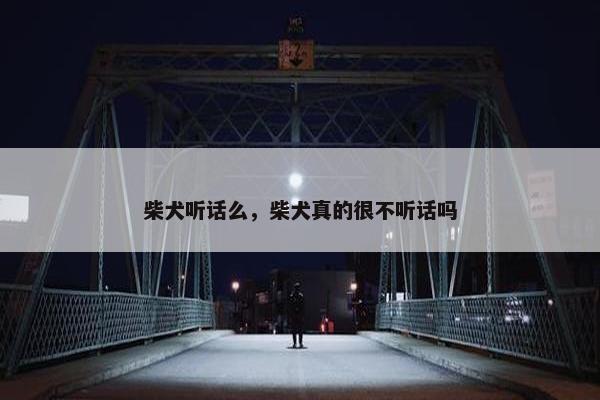 柴犬听话么，柴犬真的很不听话吗