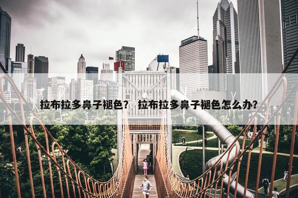 拉布拉多鼻子褪色？ 拉布拉多鼻子褪色怎么办？