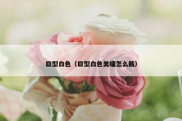 巨型白色（巨型白色美瞳怎么戴）