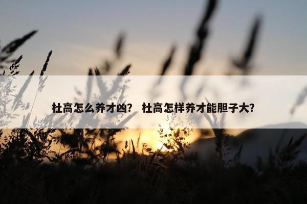 杜高怎么养才凶？ 杜高怎样养才能胆子大？