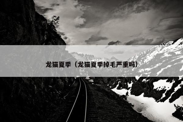 龙猫夏季（龙猫夏季掉毛严重吗）