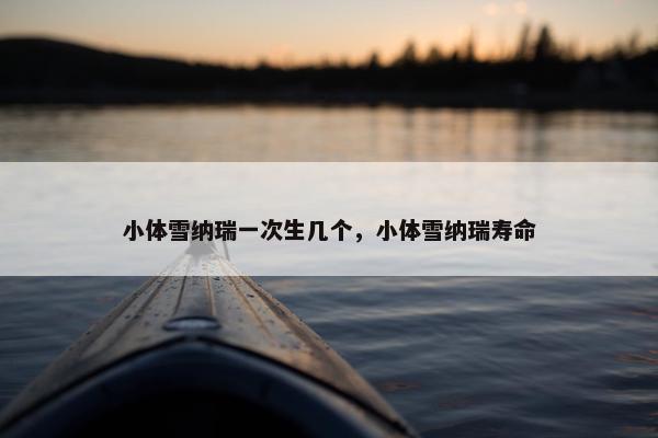 小体雪纳瑞一次生几个，小体雪纳瑞寿命