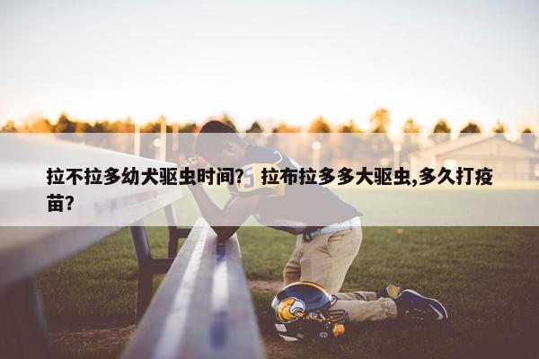 拉不拉多幼犬驱虫时间？ 拉布拉多多大驱虫,多久打疫苗？