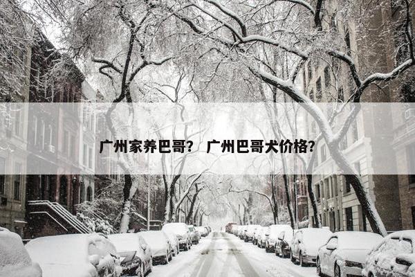 广州家养巴哥？ 广州巴哥犬价格？