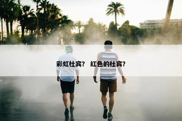 彩虹杜宾？ 红色的杜宾？