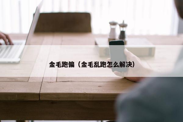 金毛跑偏（金毛乱跑怎么解决）