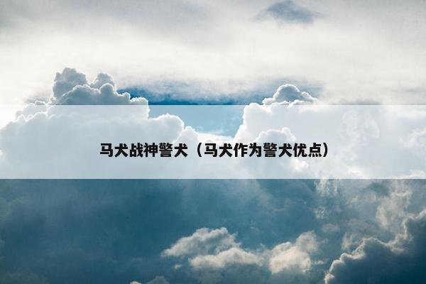 马犬战神警犬（马犬作为警犬优点）