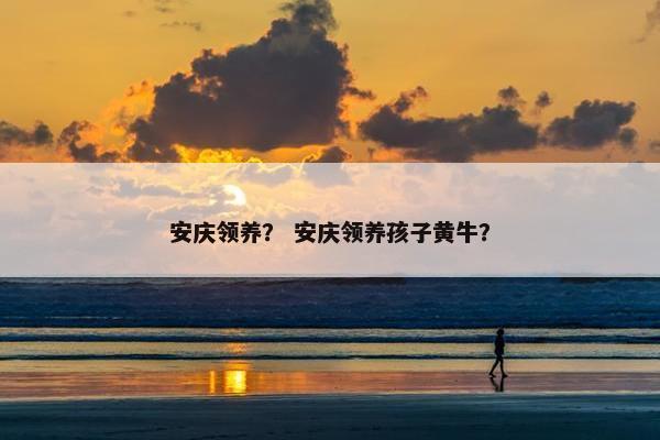 安庆领养？ 安庆领养孩子黄牛？
