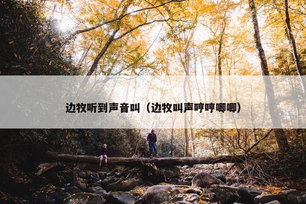 边牧听到声音叫（边牧叫声哼哼唧唧）