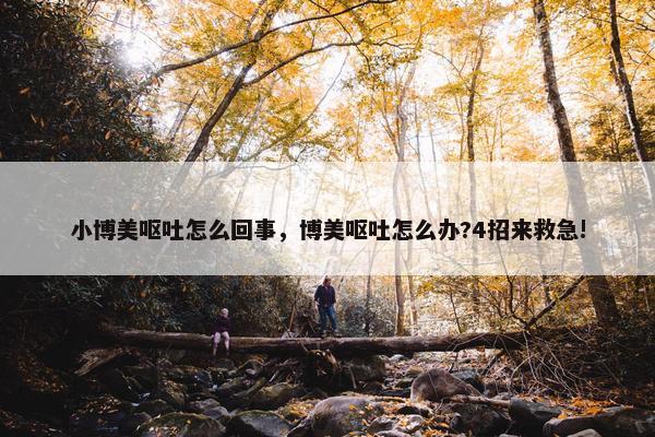 小博美呕吐怎么回事，博美呕吐怎么办?4招来救急!