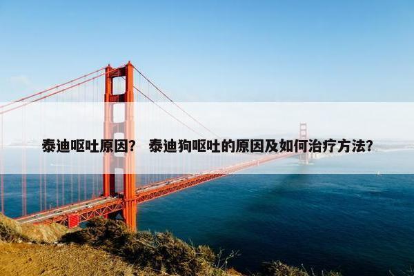泰迪呕吐原因？ 泰迪狗呕吐的原因及如何治疗方法？