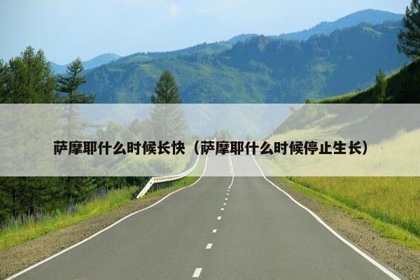 萨摩耶什么时候长快（萨摩耶什么时候停止生长）